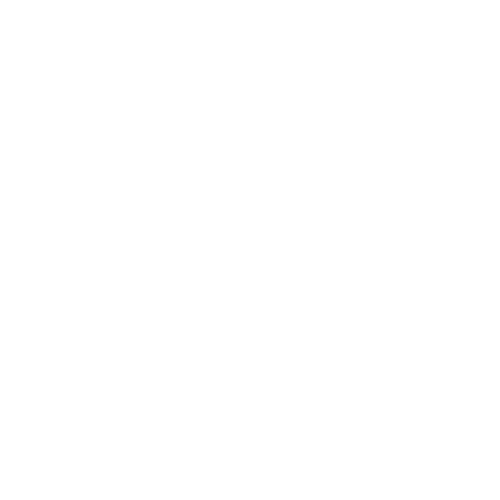 icon fuer qualitaet und erfahrung